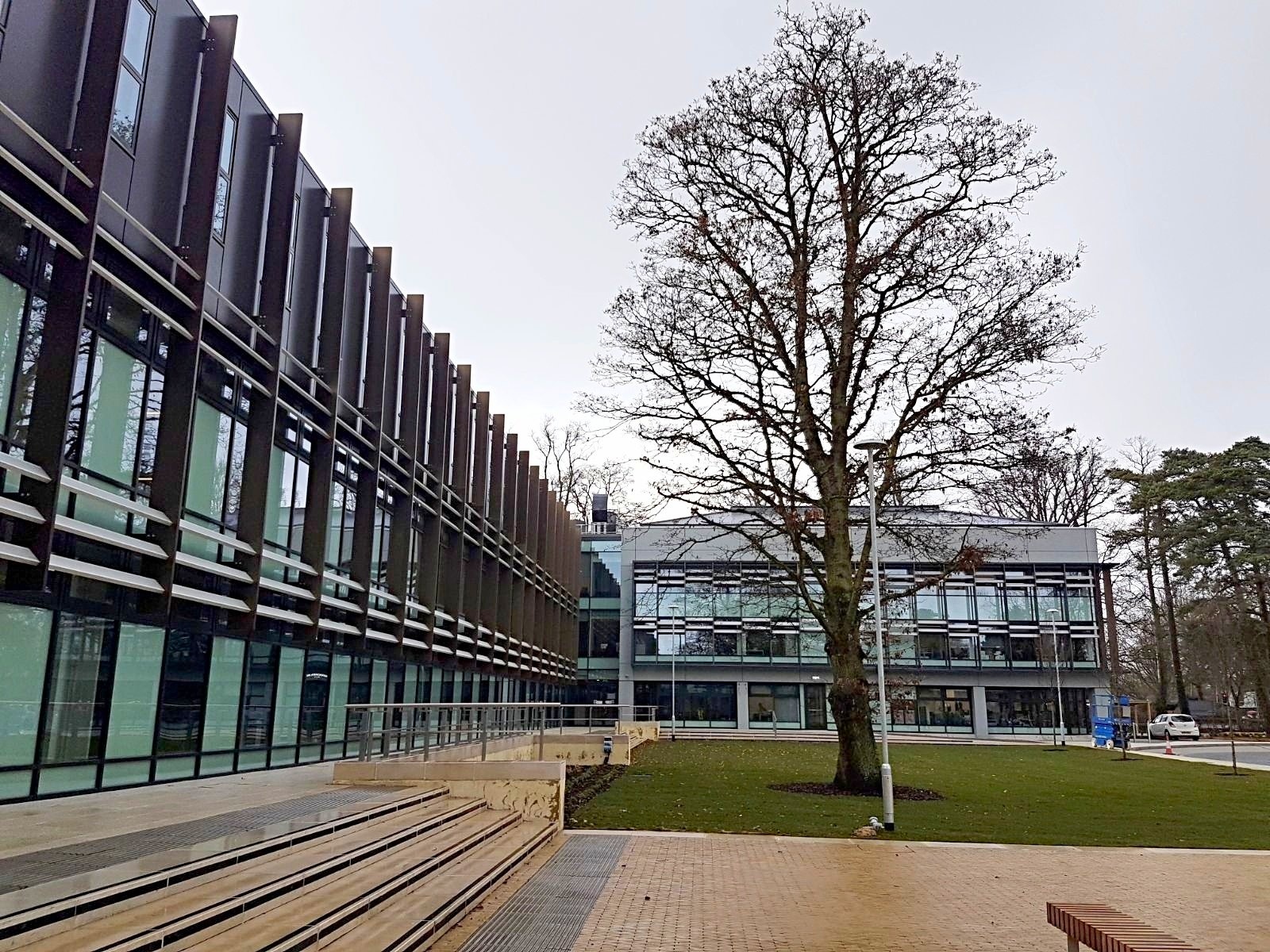 Oxford Brookes University Maple